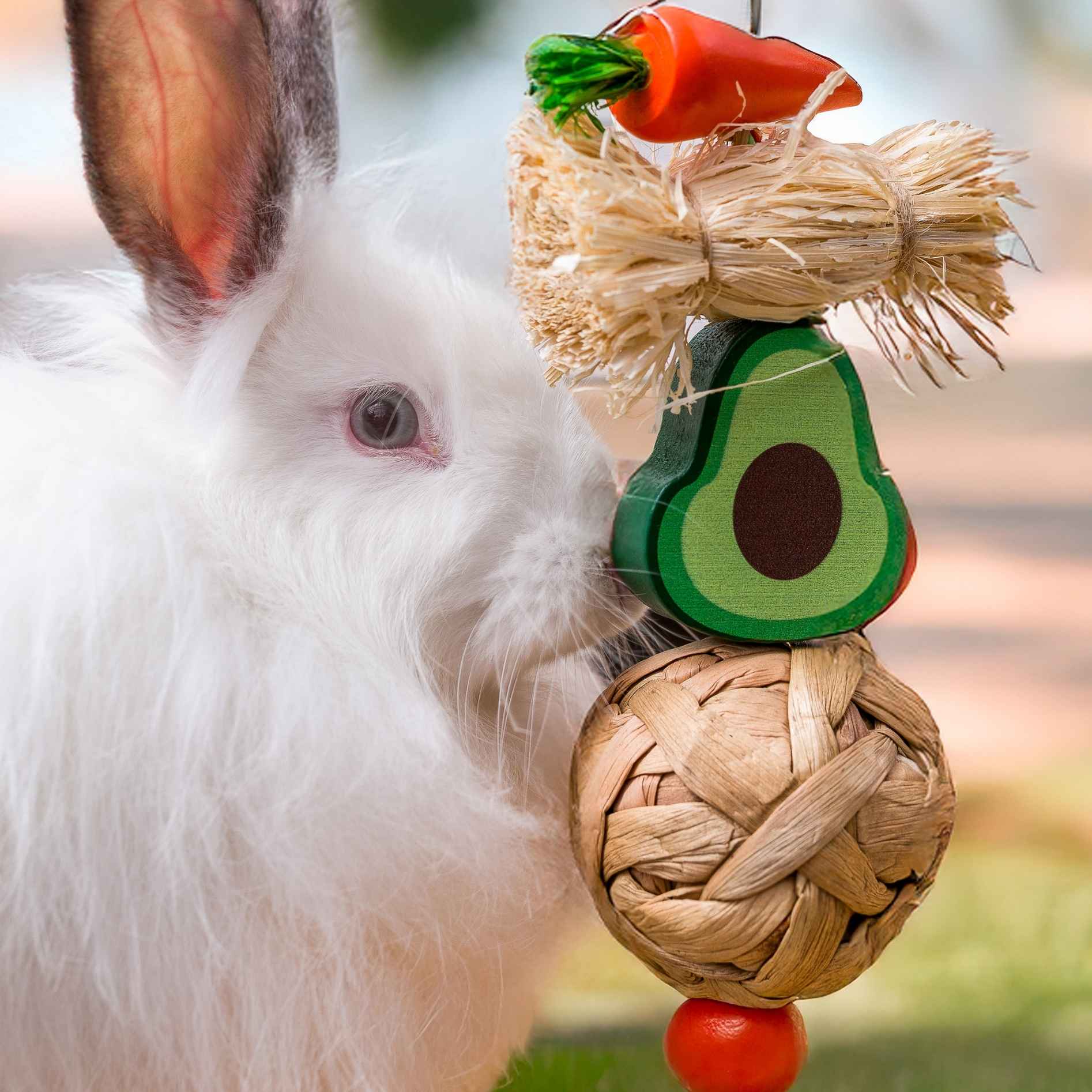 Quapas! Avocado kauwspeelgoed